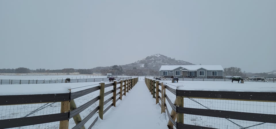 Cadence Farm Sporthorses under snow
