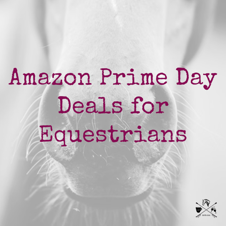 Amazon Prime Day Deals for Equestrians