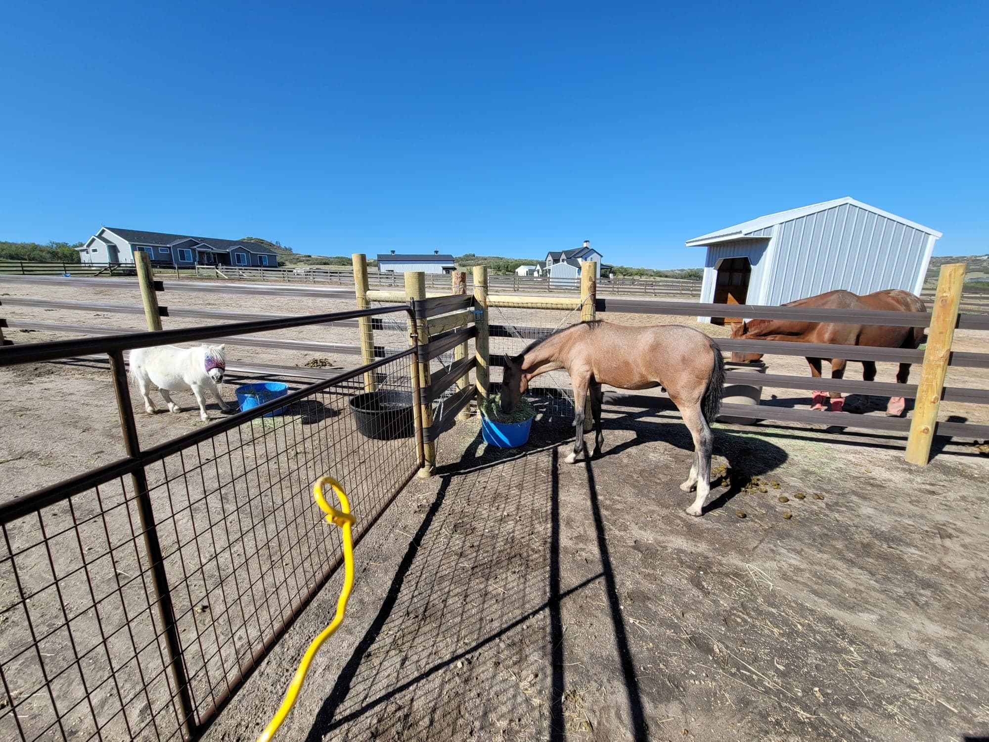 Building RAMM Flex Fence Paddocks… with a *how-to*.